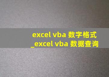 excel vba 数字格式_excel vba 数据查询